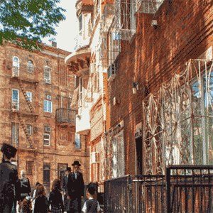 brooklynjewish org